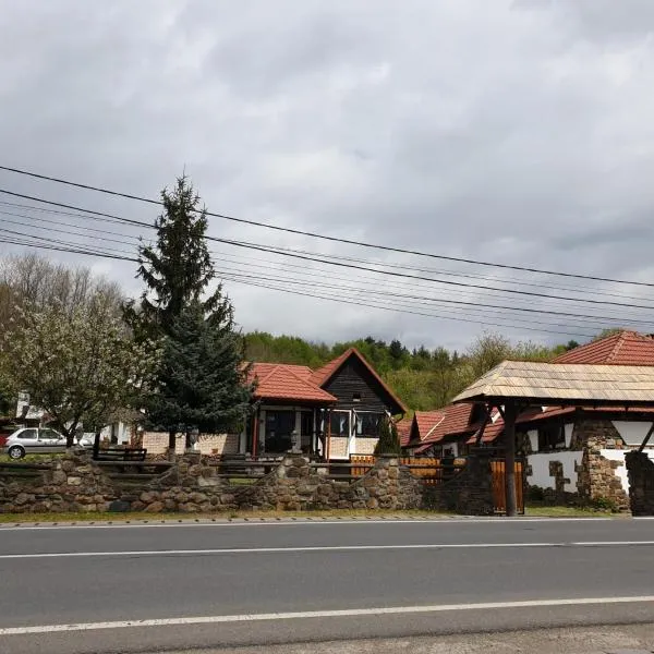 Pensiunea San Pio Sabisa、Săbişaのホテル