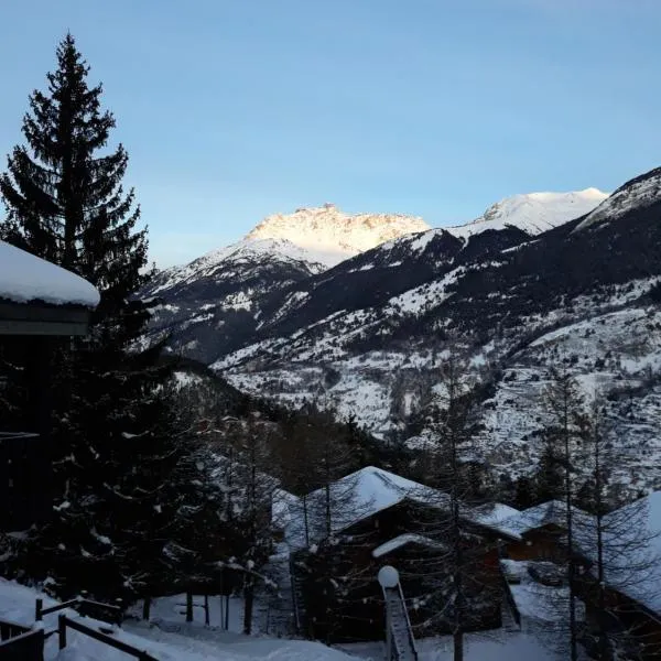Appartement dans chalet typiquement savoyard au pied des pistes, hotel in La Norma
