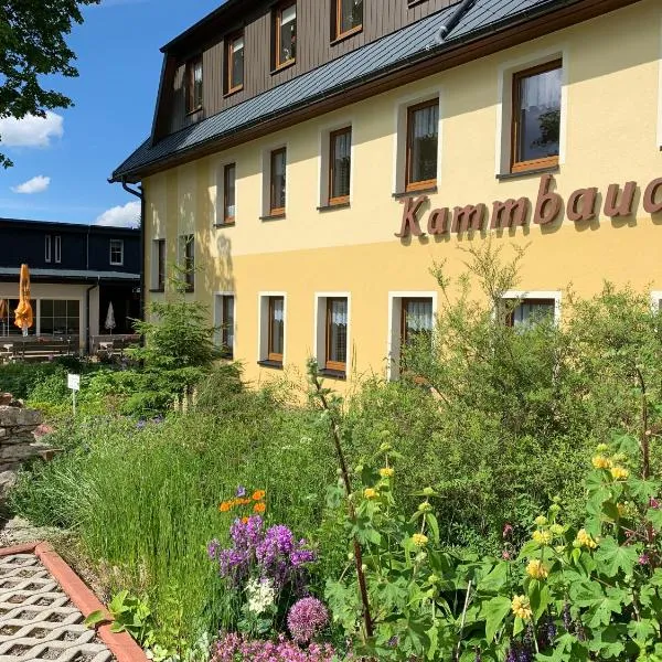 ホテル ダクスバウデ＆カムバウデ（Hotel Dachsbaude & Kammbaude）、ザイフェンのホテル