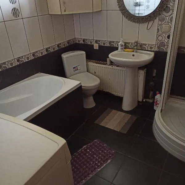 Петропавловская 16, hotel in Okhtyrka
