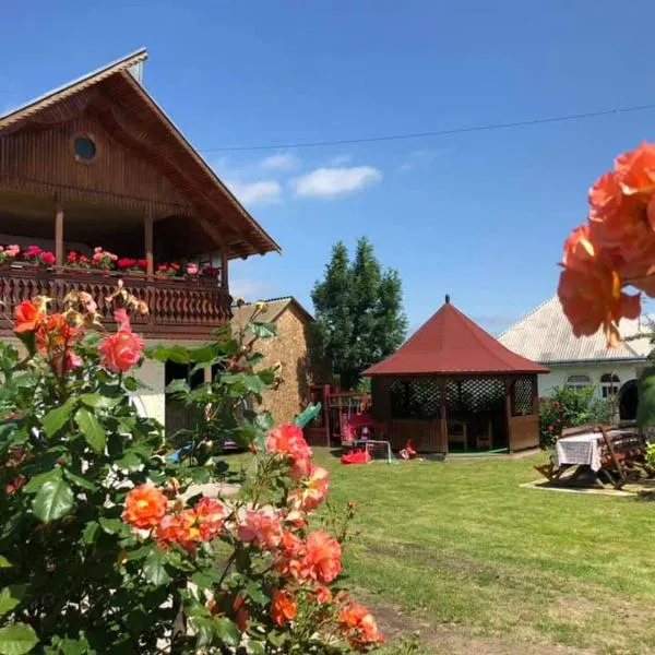 Casa Ilinca, hotel v destinaci Filioara
