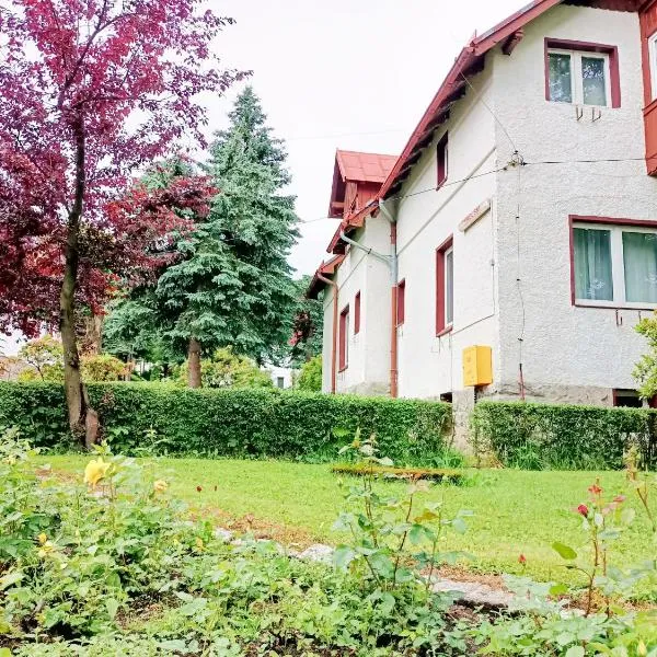 DW Bukówka，位于卡尔帕奇的酒店