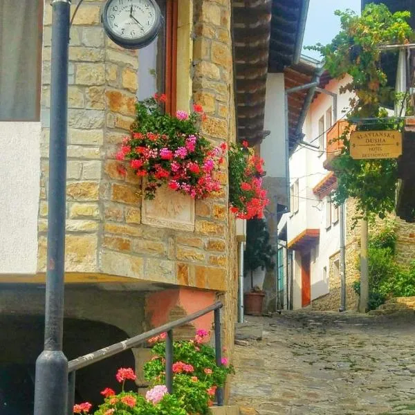 Family Hotel "Slavianska dusha" – hotel w mieście Wielkie Tyrnowo