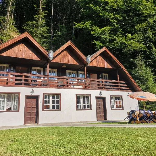 Fontana erdélyi vendégház, hotel in Odorheiu Secuiesc