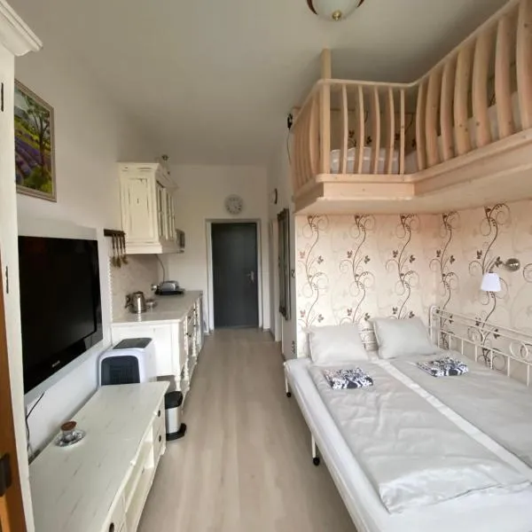 Apartmán Slapy-Ždáň: Slapy şehrinde bir otel