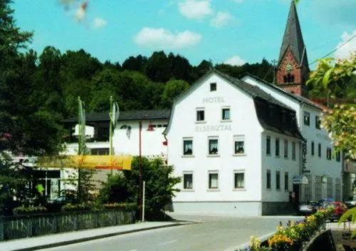 Hotel Elsenztal, hotel in Baiertal