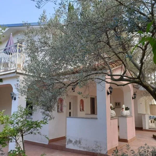 Villa Olea Peroj, hotel i Peroj