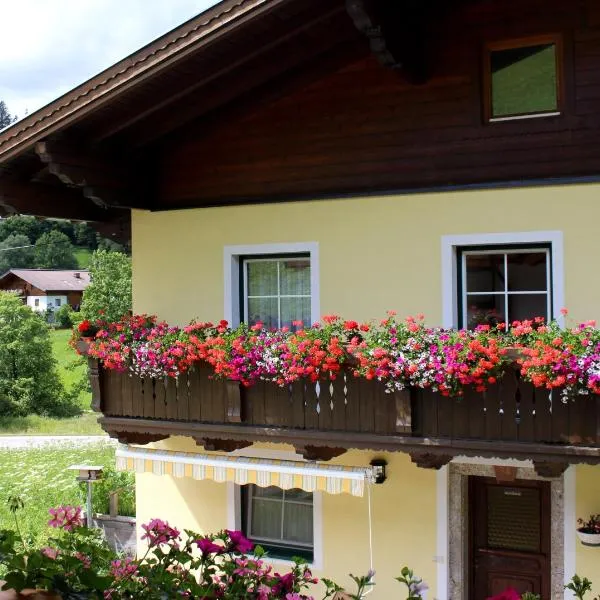 Appartement Gleiminger, hotell i Forstau