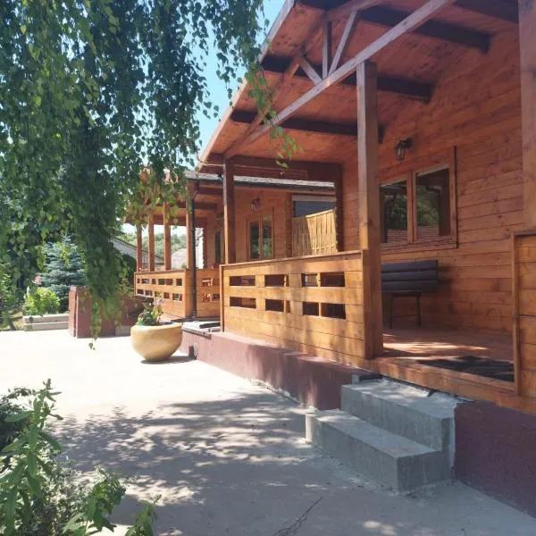 Domki pod Brzozą, hotel v destinácii Czarnocin