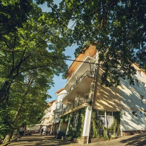 Готель Поляна Квеле, hotel en Sinyak