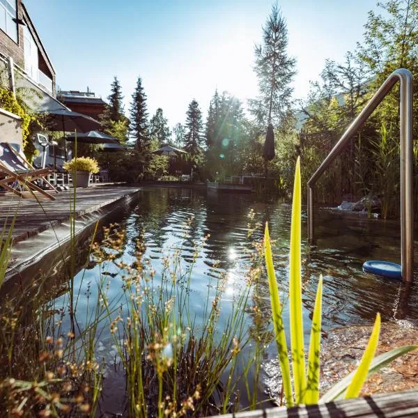 Alpen-Karawanserai, hotel in Hinterglemm