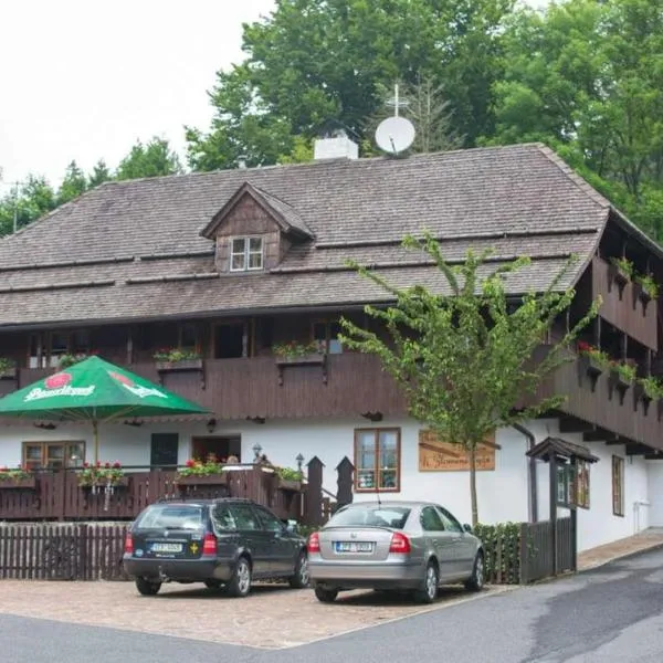 Penzion U Zlomené lyže, hotel v destinaci Železná Ruda