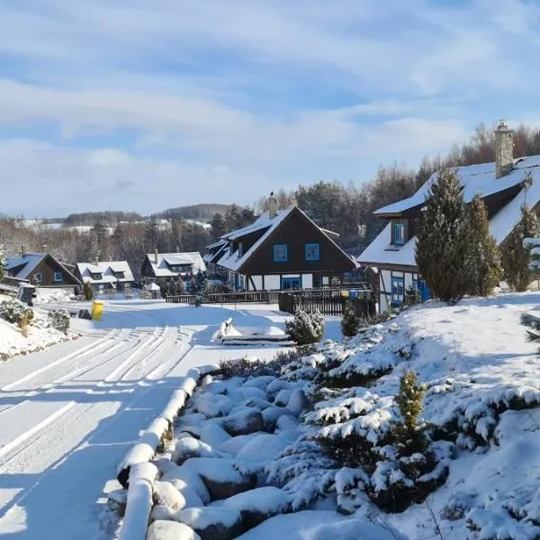Kaszuby, dom kaszubski nad jeziorem Danielowa Dolina, hotel in Szymbark