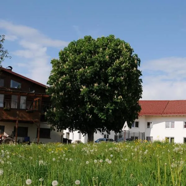 Ferienhof Hopfgärtle Müller, hotel v destinaci Bodnegg