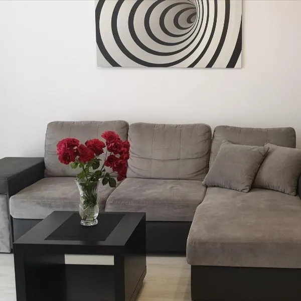 Apartament na Malczewskiego, hotel en Międzyrzecz