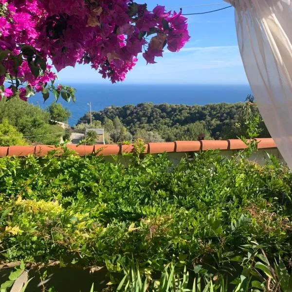 Villa D'Arte, hotel in Mortola Superiore