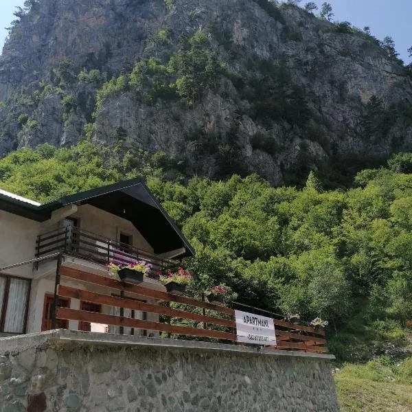 Apartmani Tara i Zabojsko Dobrilovina, hotel en Gornja Dobrilovina