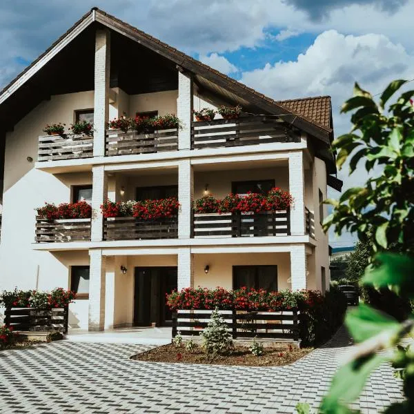 Pensiunea Romana, hotel in Onești