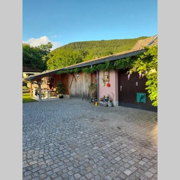 Charmant petit appartement avec bel exterieur., hotel v destinaci Saint-Amarin