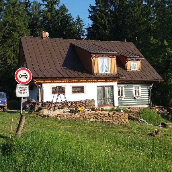 Byt Kněžice u Vrchlabí, hotel in Studenec