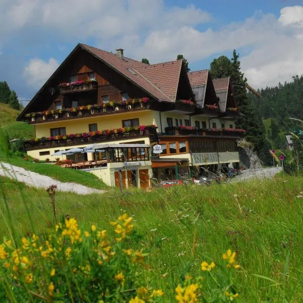Hotel Turracherhof, hotel Turracher Höhében
