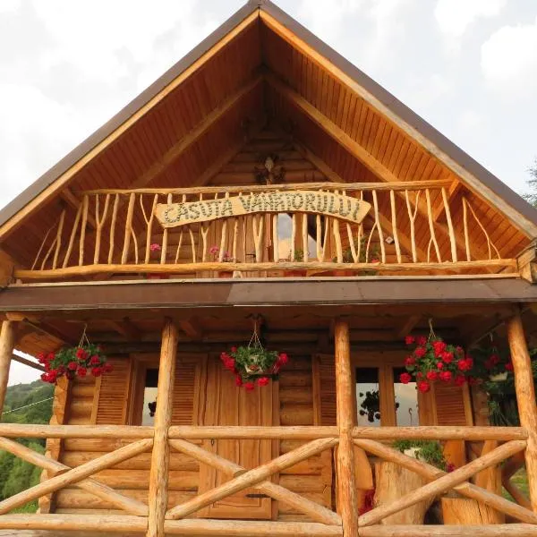 CĂSUȚA VÂNĂTORULUI, hotel in Vişeu de Jos