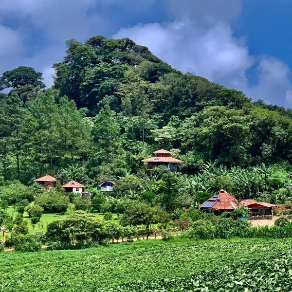 Finca Neblina del Bosque, hotel Estelíben