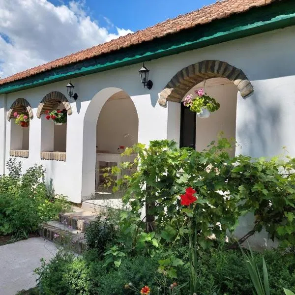 EVA HOUSE, hotel in Stara Moravica