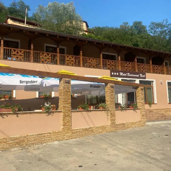 MOTEL Restaurant NICOL ARMENIS, hotel in Plopu
