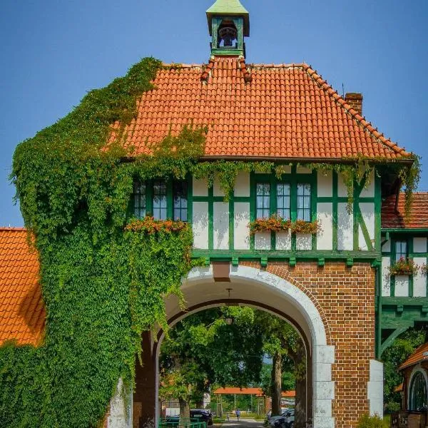 Kadyny Folwark Hotel & SPA, hotel in Młynary