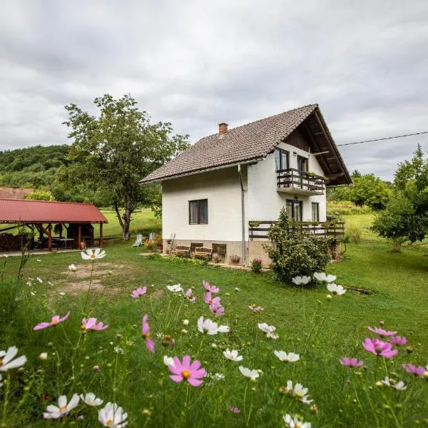 Holiday house On the riverside, hotel v destinácii Ogulin
