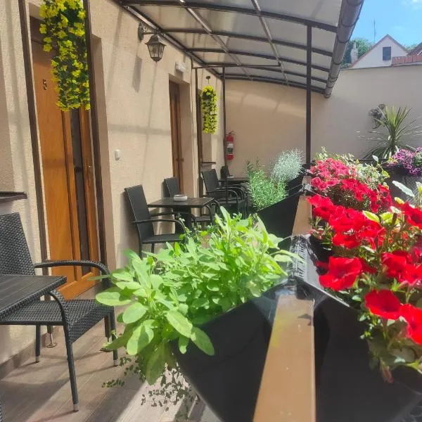 Apartmány Aranka, hotel in Žatec