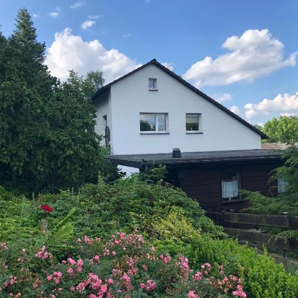 Ferienwohnung am Wald mit Garten & Hot-Tub & Alpakas, hotel in Meschede