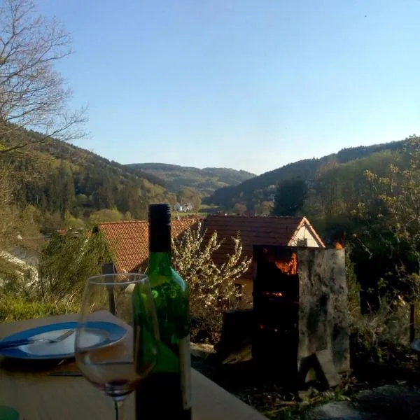 FeWo PacoHaus nähe Willingen Diemelsee, hotel v destinaci Brilon