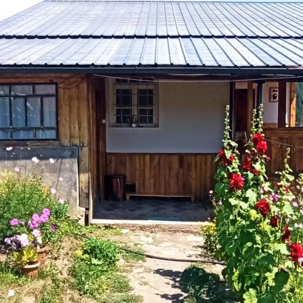 Guesthouse Sagrila: Omalo şehrinde bir otel