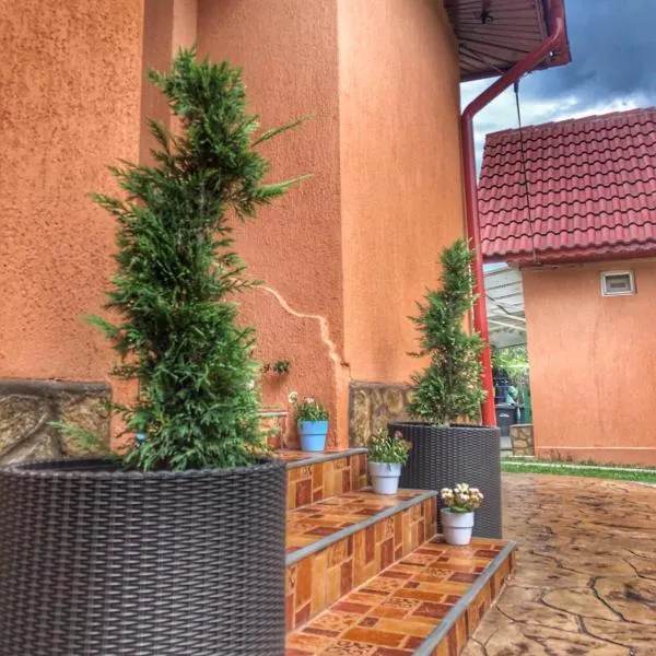 Casa Andra, hotel v destinaci Baia de Fier