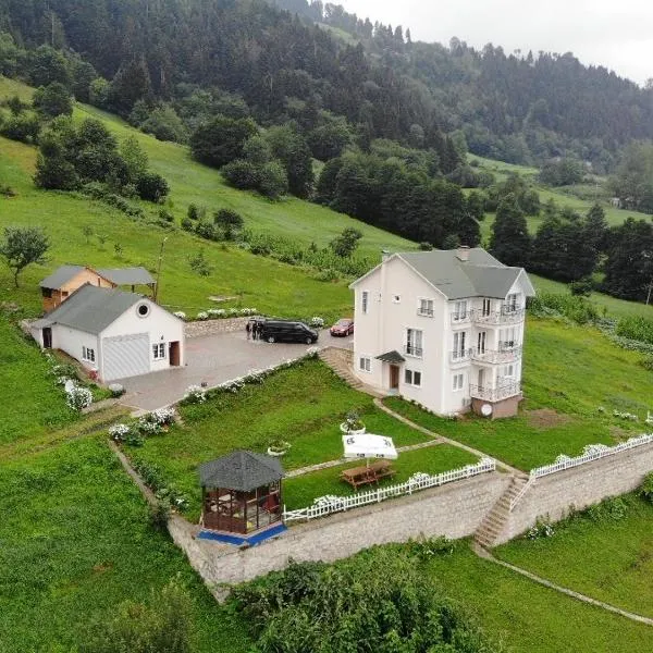 Vİlla DEVOR, hotel v destinaci Trabzon