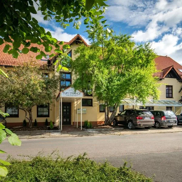 Hotel Zum Steinhof, hotel v destinaci Bad Blankenburg