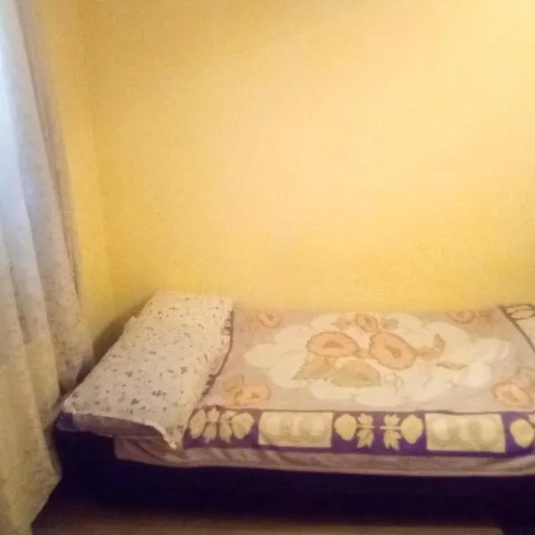 Sobe Vojislav Glavonjic, hotel v destinaci Guča