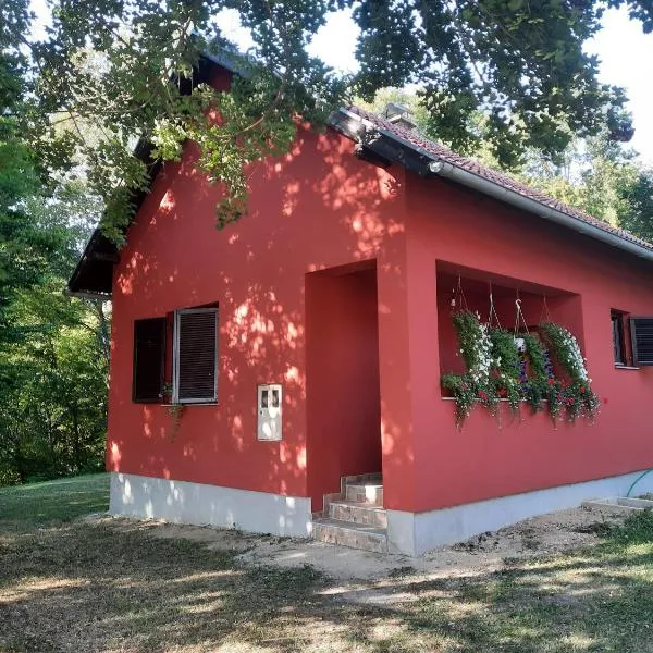 Kuća za odmor Cordon, hotel in Vojnić