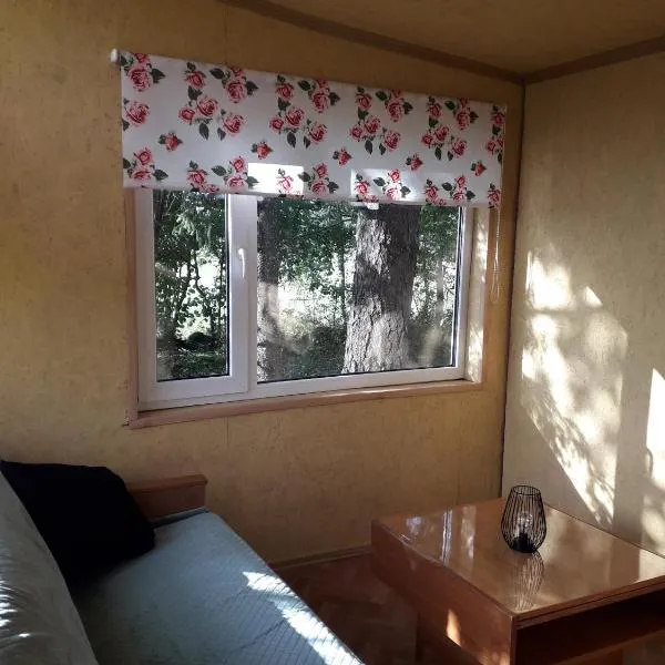 Rossu metsamaja, hotel v destinaci Saksa