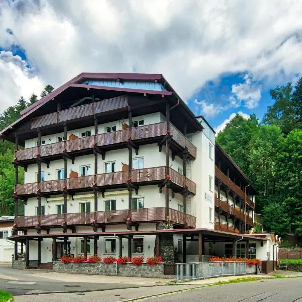 Natur- und Wanderhotel am Steinbachtal, hotell i Miltach