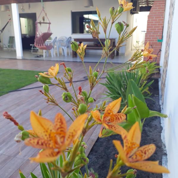 Solar das Sabiás Harmonia com a Natureza