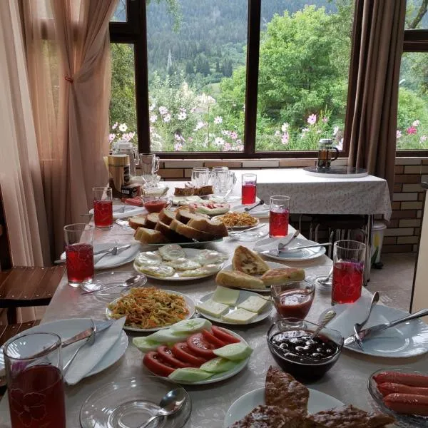 Guest House Nanu, hotel v destinaci Mestia