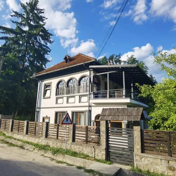 vila zia, hotel in Brăduleţ