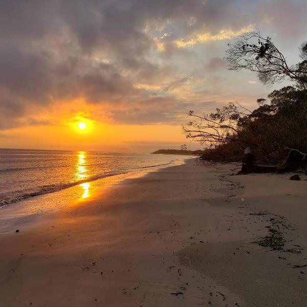 Ilha das Peças Lagamar - Foto 5