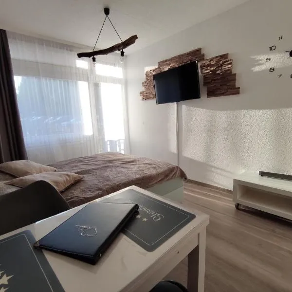 Studio 20qm mit Balkon und Innenpool - 22010, Hotel in Schluchsee