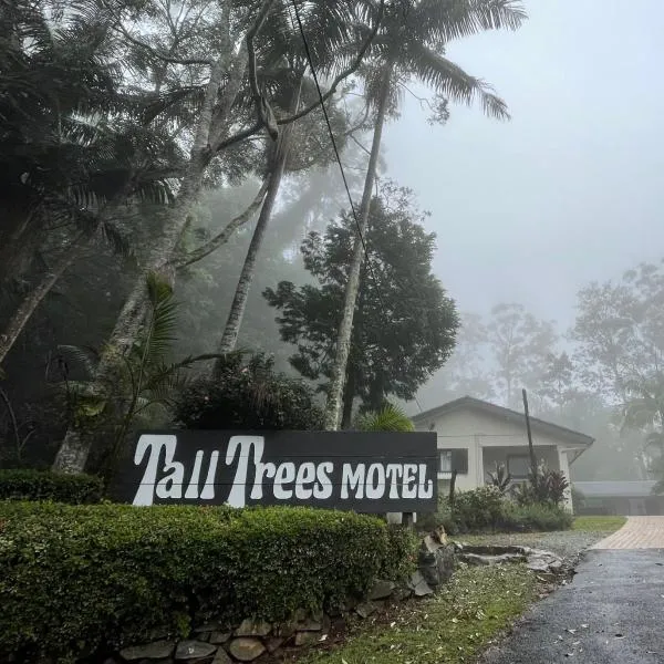 Tall Trees Motel Mountain Retreat, hotel em Wongawallan