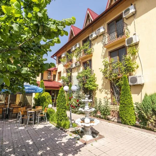 Hotel SYM, ξενοδοχείο σε Bărcăneşti