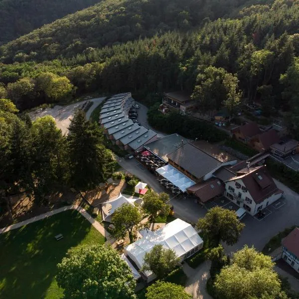 Domaine du Hirtz, Restaurant & Spa – hotel w mieście Wattwiller